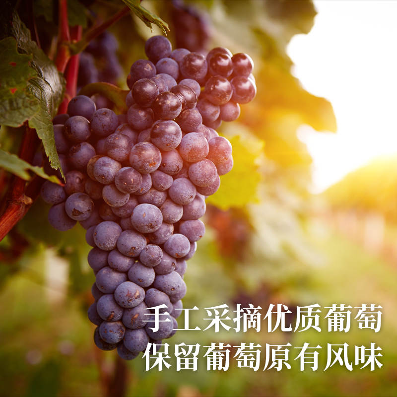 红酒的奥秘：一杯葡萄酒，无尽的健康益处